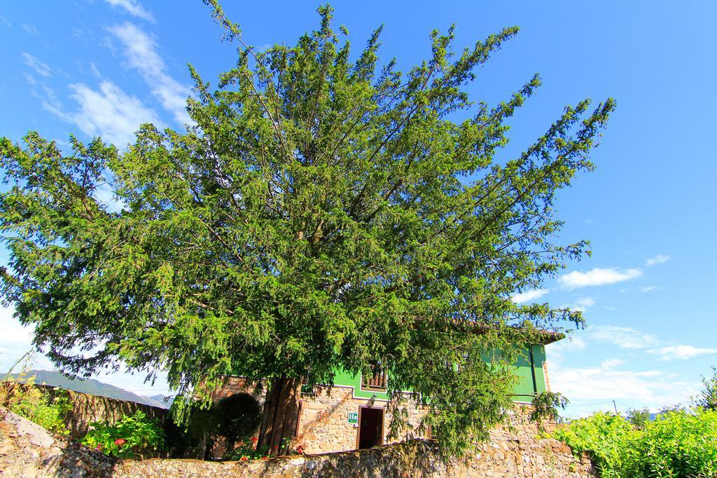 Hotel Rural Cuadroveña Exteriör bild